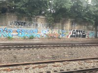 IMG_2012.jpeg IMG_2012.jpeg