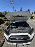 IMG_5310.jpeg IMG_5310.jpeg