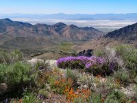 P1013603eprexpfrm6-17-25.jpg P1013603eprexpfrm6-17-25.jpg