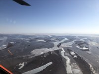 IMG_4356.jpeg IMG_4356.jpeg