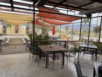 IMG_2397.jpeg IMG_2397.jpeg