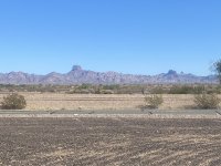 IMG_2409.jpeg IMG_2409.jpeg