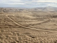 IMG_2433.jpeg IMG_2433.jpeg