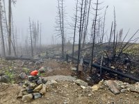 IMG_6630.jpeg IMG_6630.jpeg