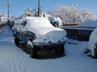 IMG_20230302_082538269 copy.jpg