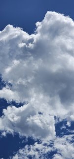 20250627_131732_copy_1200x2570.jpg