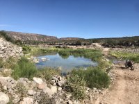 IMG_5009.jpeg IMG_5009.jpeg