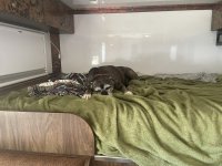 IMG_8426.jpeg