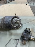 IMG_2465.jpeg IMG_2465.jpeg