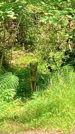 IMG_4093.jpeg IMG_4093.jpeg