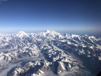 IMG_4824.jpeg IMG_4824.jpeg