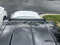 IMG_9145.jpeg
