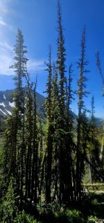 20250706_100658_copy_1200x2570.jpg