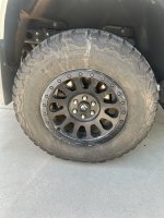 IMG_0175.jpeg