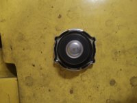 IMG_20250711_152922471.jpg IMG_20250711_152922471.jpg