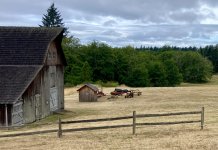 IMG_4876.jpeg IMG_4876.jpeg