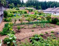 IMG_4922.jpeg IMG_4922.jpeg