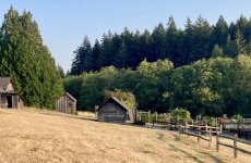 IMG_4918.jpeg IMG_4918.jpeg