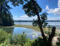 IMG_4920.jpeg IMG_4920.jpeg