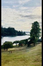 IMG_4838.jpeg IMG_4838.jpeg