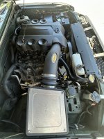 IMG_0296.jpeg