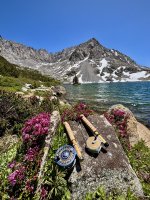 IMG_7553.jpg IMG_7553.jpg