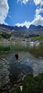 20250711_105338_copy_1200x2570.jpg