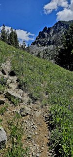 20250711_123216_copy_1200x2570.jpg