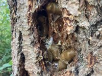 IMG_5034.jpeg IMG_5034.jpeg