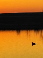 IMG_6474.jpeg