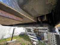 IMG_0560.jpeg IMG_0560.jpeg