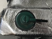 IMG_2403.jpeg