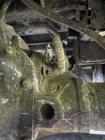 IMG_0395.jpeg IMG_0395.jpeg