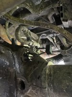 IMG_0397.jpeg IMG_0397.jpeg