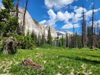 20250715_111436.jpg 20250715_111436.jpg