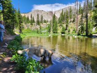 20250715_113426.jpg 20250715_113426.jpg