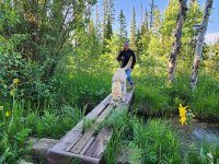 20250715_074112.jpg 20250715_074112.jpg