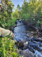 20250715_080919.jpg 20250715_080919.jpg