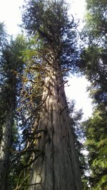 20250803_093259.jpg