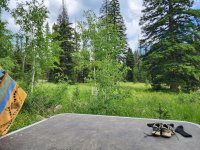 20250716_142112.jpg 20250716_142112.jpg