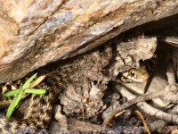 20250717_164316.jpg 20250717_164316.jpg