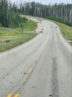 20250718_080757.jpg 20250718_080757.jpg