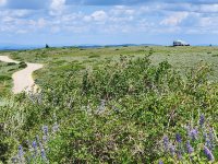 20250719_131508.jpg 20250719_131508.jpg