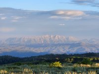 20250719_063145.jpg 20250719_063145.jpg