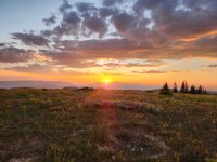 20250719_204155.jpg 20250719_204155.jpg