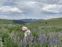 IMG_1285.jpg IMG_1285.jpg