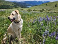 20250719_133350.jpg 20250719_133350.jpg