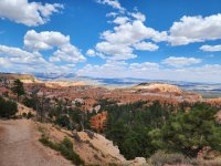 20250720_151029.jpg 20250720_151029.jpg