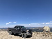 IMG_5241.jpeg