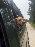 Troopy1.jpg Troopy1.jpg